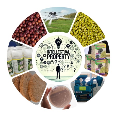 Collage of the incubation domains — pulses, processing, bio-inputs, drones and intellectual property