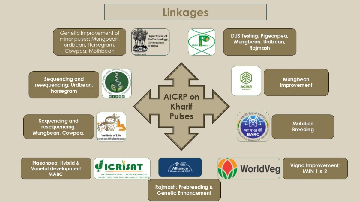 Institutional linkages of AICRP on Kharif Pulses