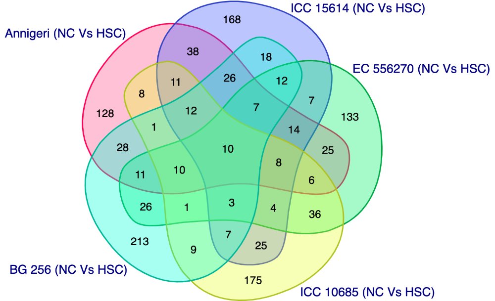 Venn diagram of differentially expressed genes across five chickpea genotypes under heat stress