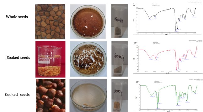 FTIR spectra of chickpea protein isolates