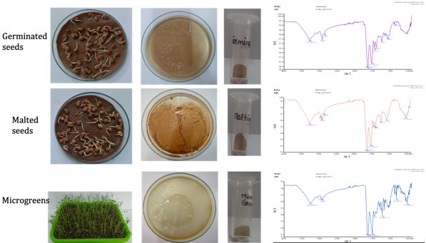Extraction of protein isolates from chickpea