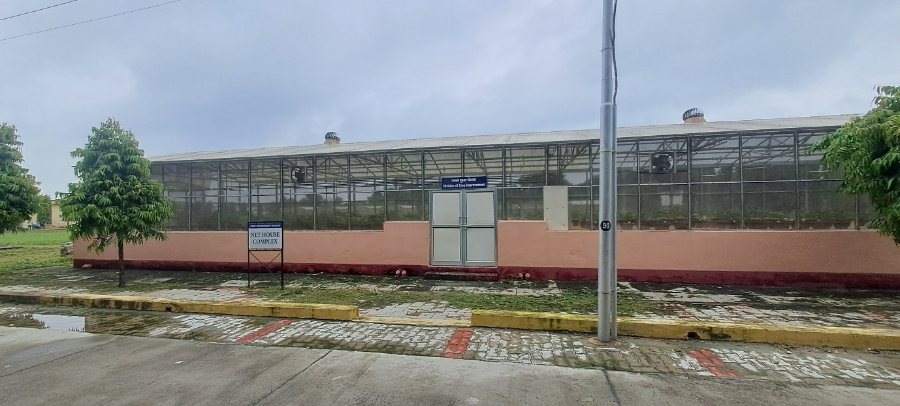 Net house complex of the Division of Crop Improvement