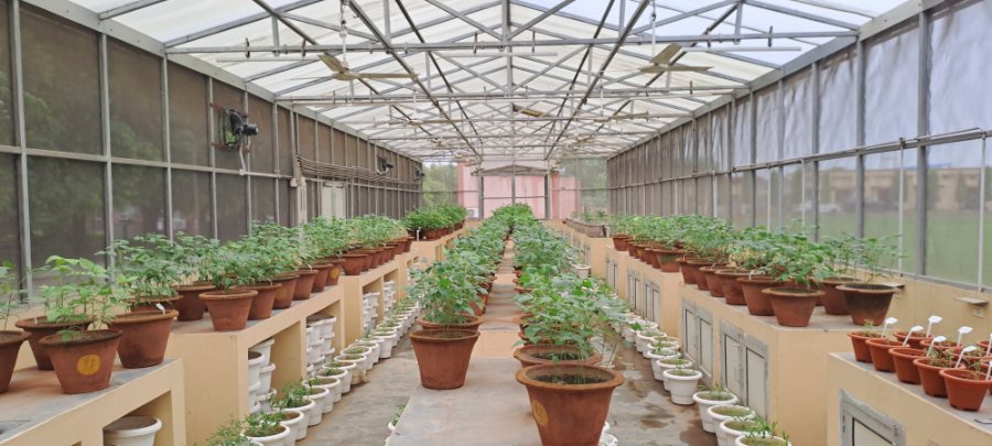 Interior of the high-throughput hybridization facility