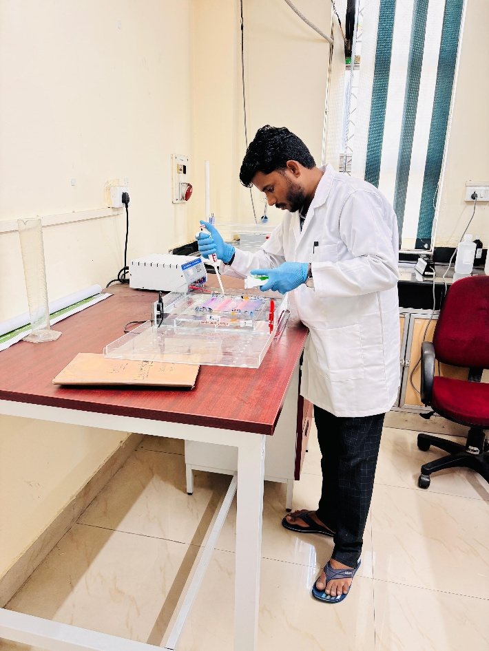 Researcher loading a gel in the molecular breeding laboratory