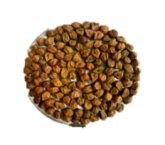 IPC 2004-01 (Desi type) seed
