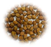 IPCMB 19-3 (Samriddhi, Desi type MAS product) crop stand