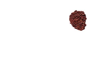 IPH 15-03 (Hybrid) seed