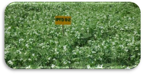 IPFD 9-2 crop stand