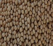 IPFD 12-8 (Aakash) seed