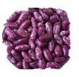 PDR 14 (Uday) seed
