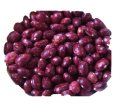 IPR 96-4 (Amber) seed