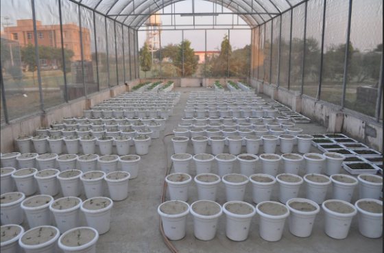 Net house facility