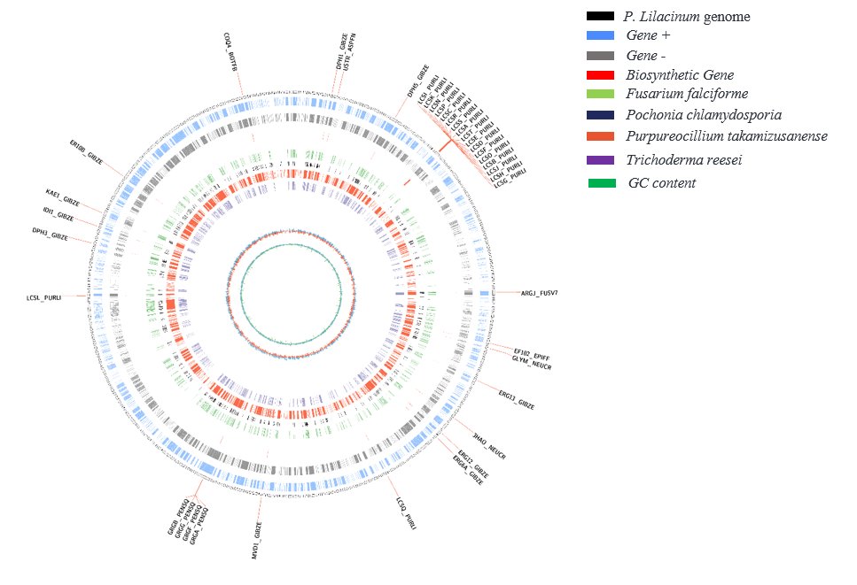 Whole genome map of Purpureocillium lilacinum strain IIPR-Pl-11