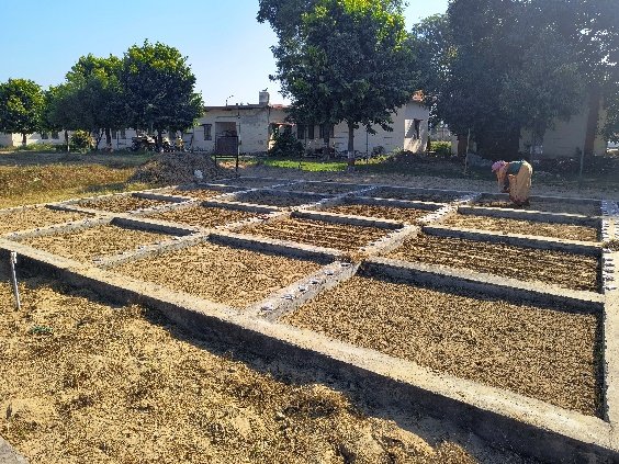 Micro plots for host plant resistance screening