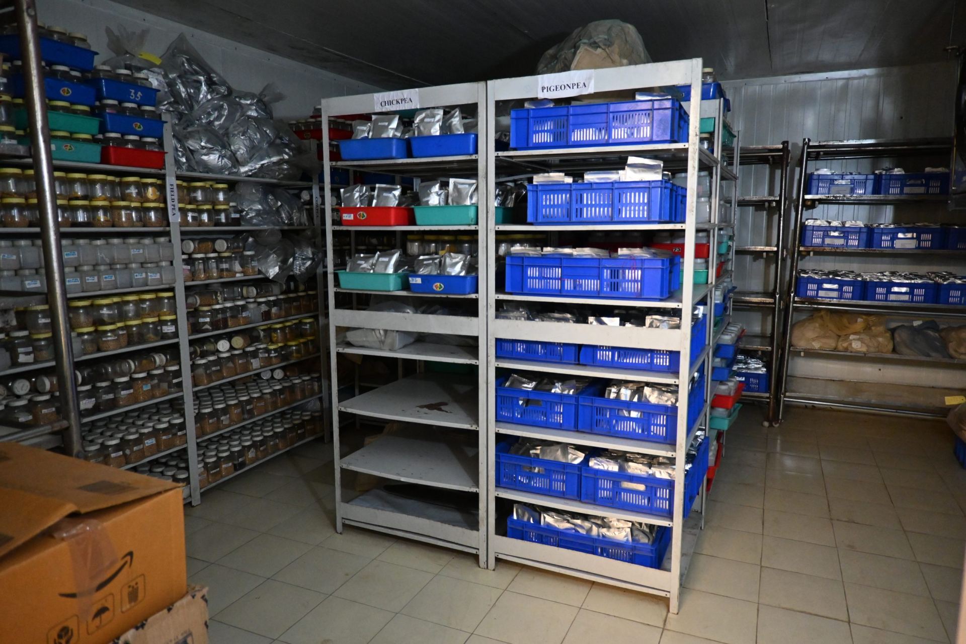 Germplasm storage at the ICAR-IIPR Gene Bank, Kanpur