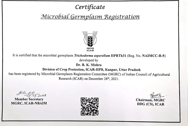 Microbial germplasm registration certificate for Trichoderma asperellum IIPRTh31