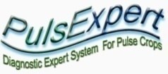PulsExpert &mdash; diagnostic expert system for pulse crops trademark
