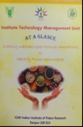 Cover of Institute Technology Management Unit — At a Glance