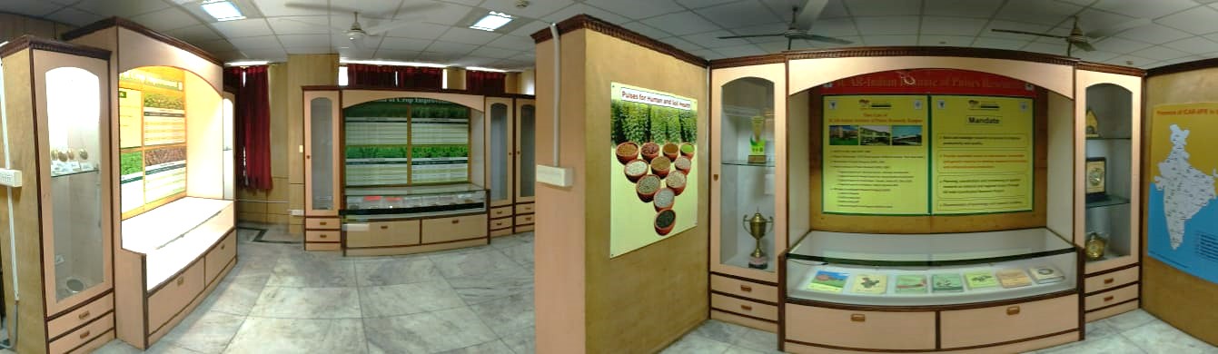 A panoramic view of the museum at ICAR-IIPR, Kanpur