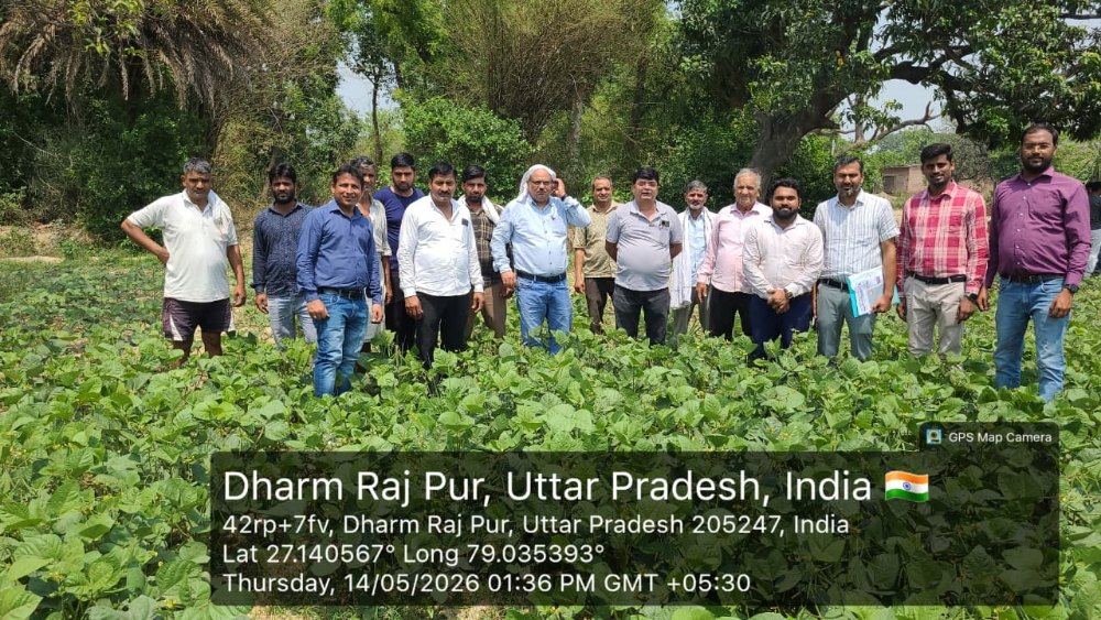 Green manure demonstration at Dharm Raj Pur, Uttar Pradesh &mdash; 14 May 2026