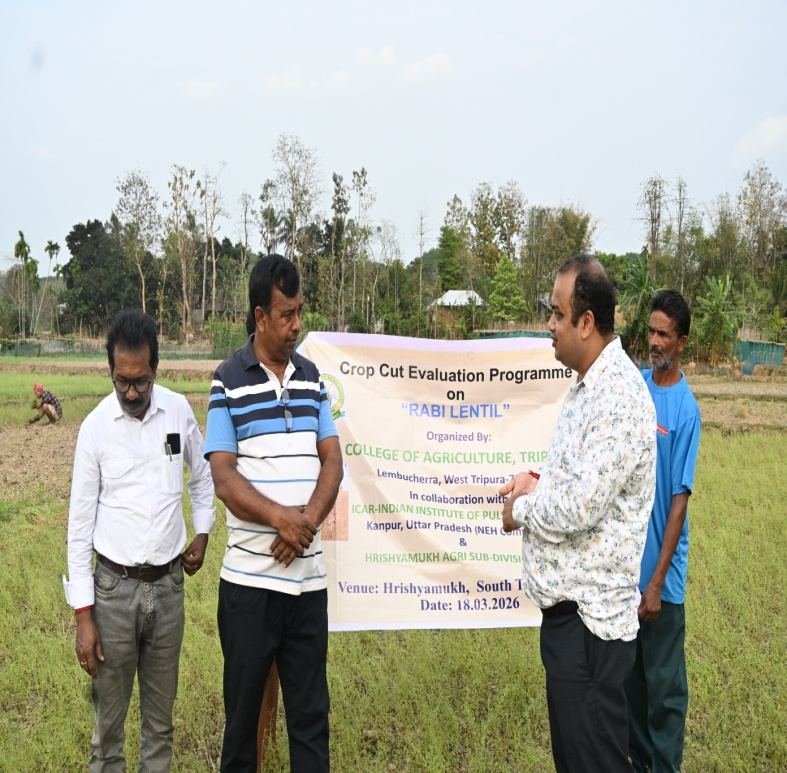 Lentil crop cut evaluation with a farmer, ICAR-IIPR NER Sub-Plan, South Tripura