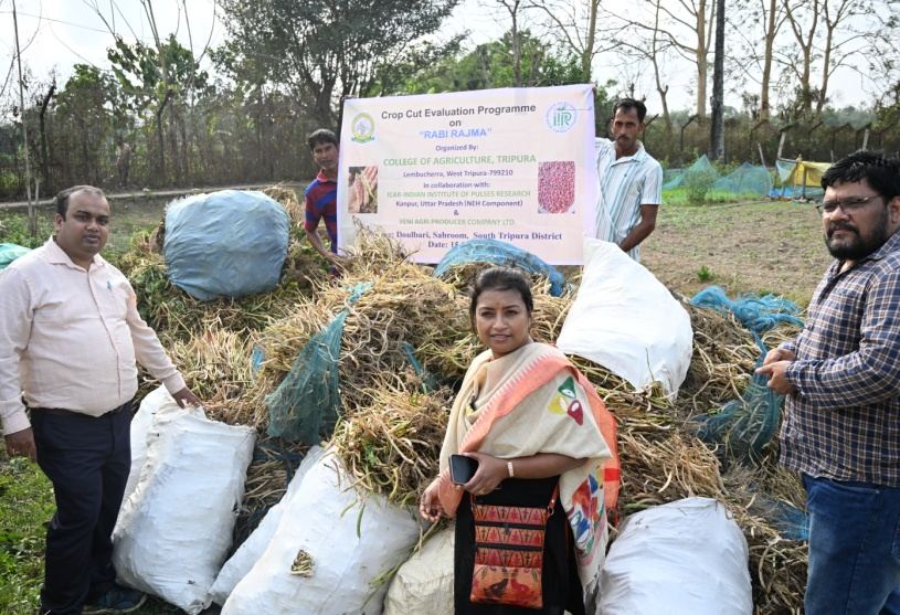 Crop cut evaluation of Rajma, ICAR-IIPR NER Sub-Plan demonstration in South Tripura