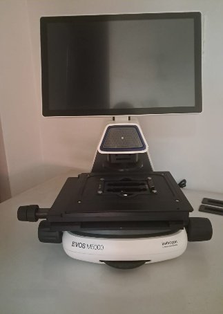 Stereomicroscope, Division of Plant Biotechnology