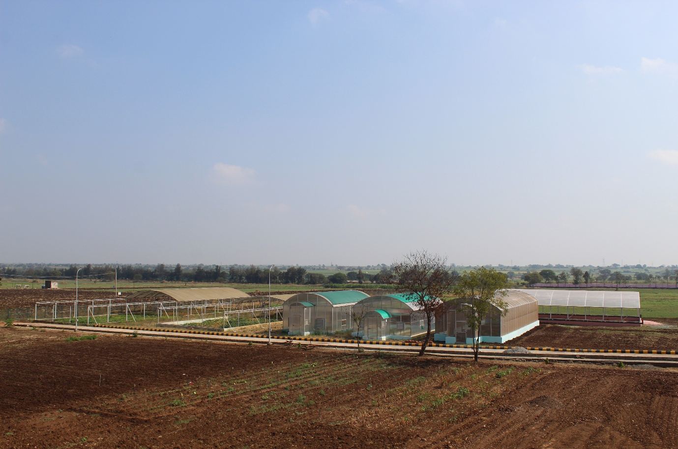 Rainout shelters, hi-tech green houses and insect-proof net house