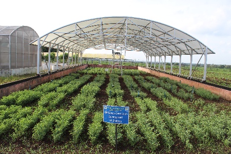 Off-season nursery