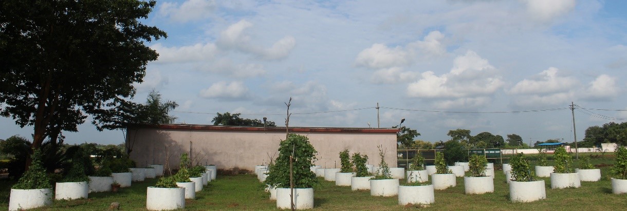 Pre-breeding nursery