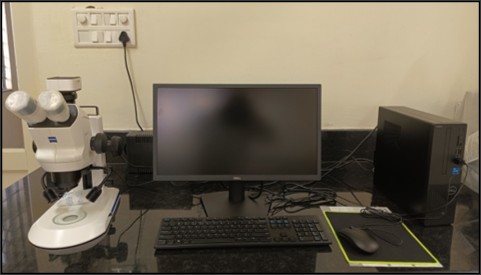 Stereo zoom microscope with image analyser