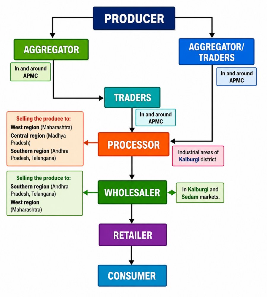 Supply chains of urdbean in Karnataka
