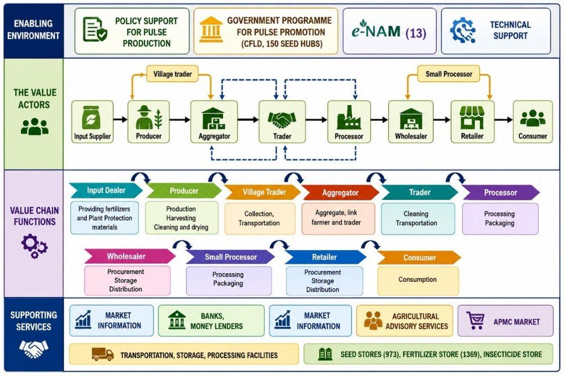 Value chain map of chickpea in the Bundelkhand region of Uttar Pradesh