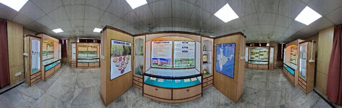 Institute museum on pulse crops