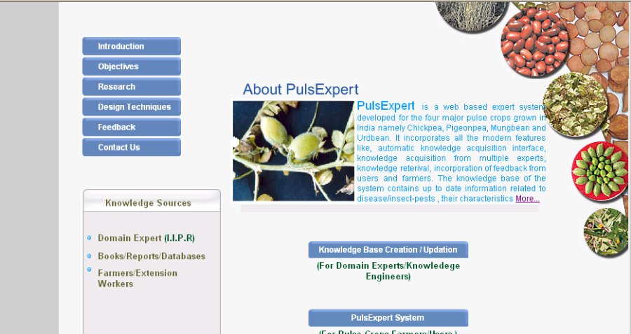 PulsExpert home page