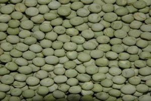 IPFD 10-12 (Green seed)